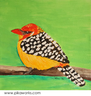 Barb the red and yellow barbet